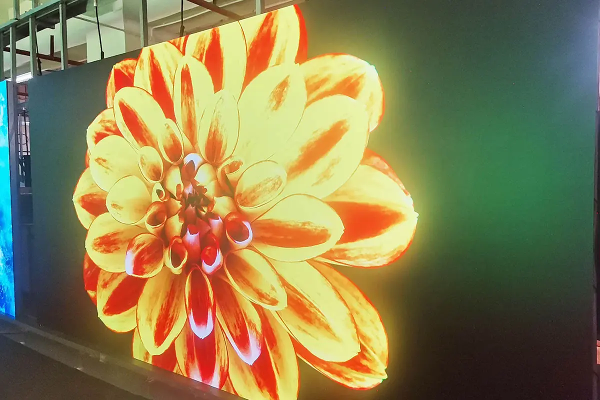 LED video wall panels displaying an orange flower during a factory demonstration