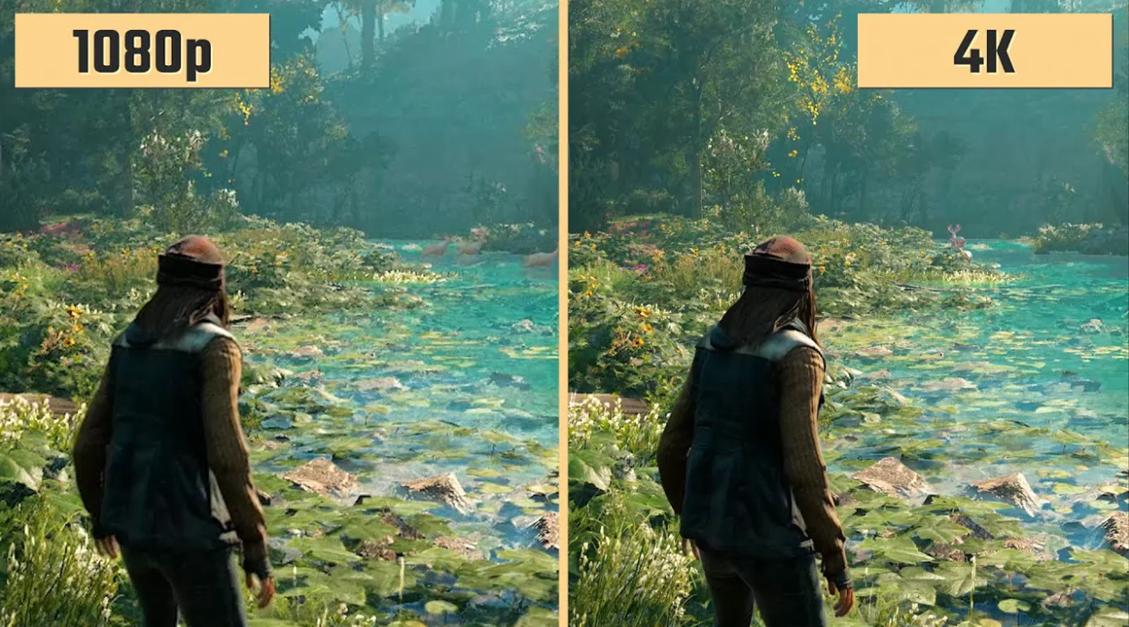 1080P VS 4K